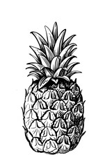 pineapple on white background with leaves in sketch style