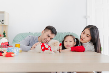 asian family playing with shih tzu dog in relax time, they feeling happy and smile, child development and family activity