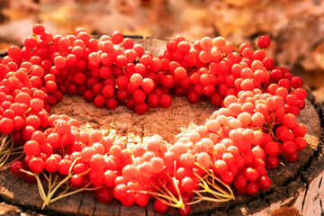  Heart of red berries on wooden background