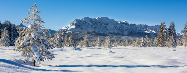 panoramic winter landscape in Germany, Bavaria, and alps mountain range