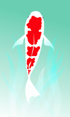 鯉のベクター 画像