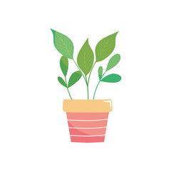 green plant in a pot, colorful design