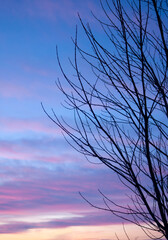 Obraz premium WINTER'S SUNSET #146