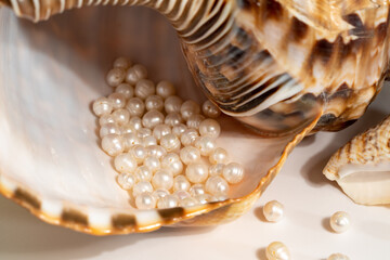 pearl beads lie in a seashell shell, close up photo