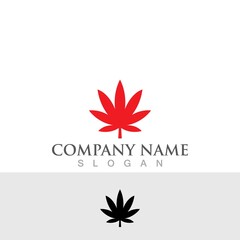 Fototapeta na wymiar leaf cannabis logo and symbol vector