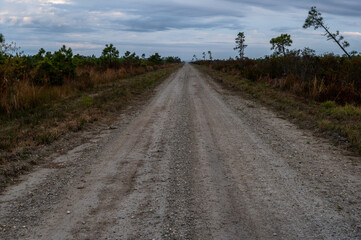 Gravel Road Through Swampy Area