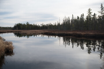 Reflections in a still stream