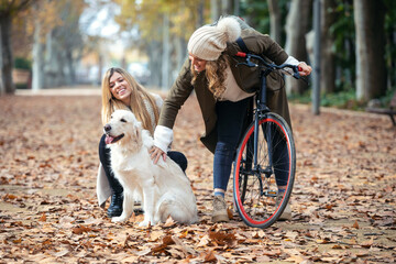 Two beautiful friends walking and cycling in the park while they going with their dog in the park in autumn.