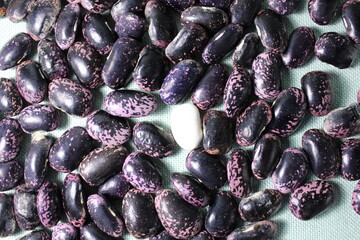 white beans in a glass jar and red blue on mint light background of a copy of the space