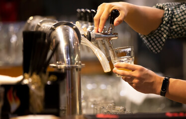 Woman waiter pours beer into a glass at the bar.