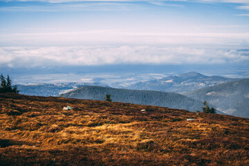 landscape in autumn