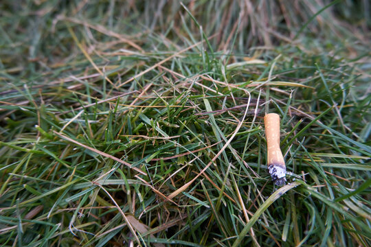 A Thrown Away Trash Cigarette On The Ground