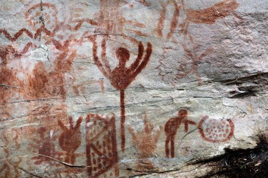 Detail of the paintings on a rock in "La Lindosa", Guaviare. Primitive art on red pigments over a white natural rock, paintings of animals an tribal patterns. Near Chiribiquete formation