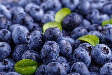 Fresh blueberries background with copy space for your text. Vegan and vegetarian concept. Macro texture of blueberry berries.Texture blueberry berries close up