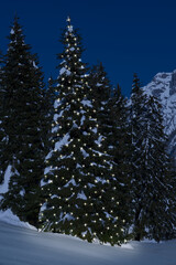 Snow-covered Christmas tree in lights. Christmas tree. Christmas in the wild Alps. A tree in the snow, a garland illuminates at night. Christmas card, copy space.