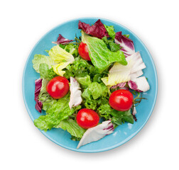 Fresh healthy salad with tomatoes