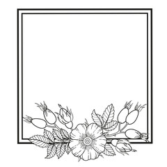 Frame of dog-rose flowers, branches and leaves. Vector isolated on white background. Coloring book, elements for packaging design of cosmetics, medicine, tea, wedding invitetion and cards