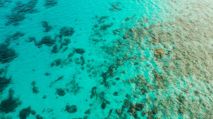Obraz na płótnie Canvas Sea water surface in lagoon copy space for text. Top view transparent turquoise ocean water surface. background texture