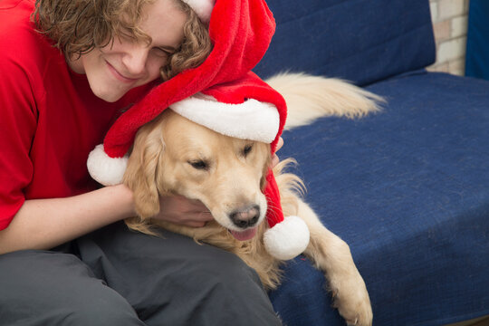 A teenager and a dog, a golden Retriever in a red Christmas hat.