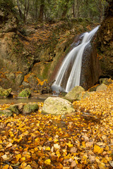 Fototapeta na wymiar Waterfall in long exposure immersed in an autumnal environment with a bed of leaves of various colors.