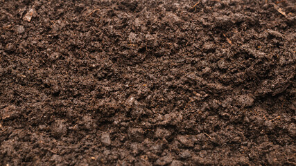 Black land for plant background.