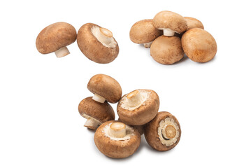 Tasty mushroom isolated on white background.