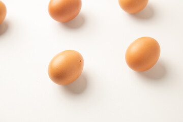 brown chicken eggs on color background