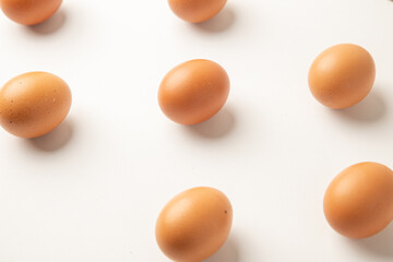 brown chicken eggs on color background