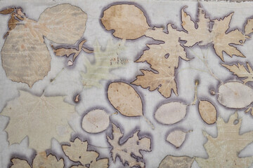 Fragment of hand-dyed fabric using eco-print technique