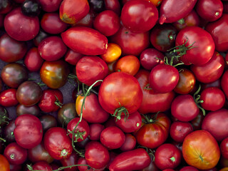 Background with ripe red tomatoes..
