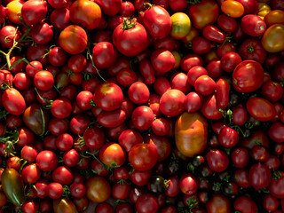 Background with ripe red tomatoes..