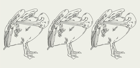 Vector hand drawn minimalistic illustration of pelican. Creative artwork. Template for card, poster, banner, print for t-shirt, pin, badge, patch.