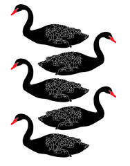 Vector hand drawn minimalistic illustration of swans. Creative artwork. Template for card, poster, banner, print for t-shirt, pin, badge, patch.