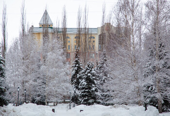 Sterlitamak city in the winter. Trees covered in snow © Тамара Андреева