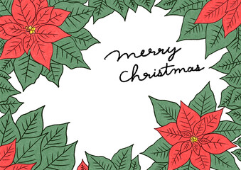 クリスマス　ポインセチア