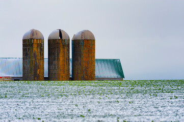 Agricultural Structures and light snow © Dee