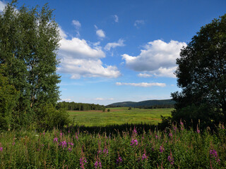 Meadows in the Ore Mountains in the west of the Czech Republic