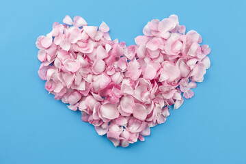 Heart shape made of rose petals on blue background