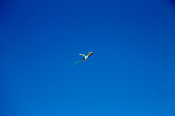 Colorful flying kite fly in the blue sky