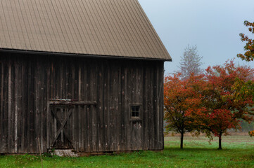 Old wooden barn next to a row of trees their leaves colored by autumn.