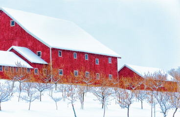 Red barn sits on agriculture land surrounded with snow © Dee