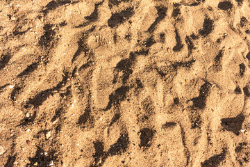 sand texture
