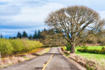 Rural Country Road throug Agriculture grounds