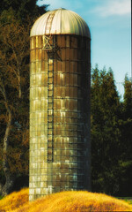 Grain silo stand tall bathed in sunlight