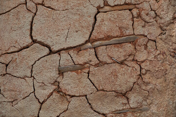 cracked earth background