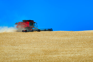 Grain Harvesting