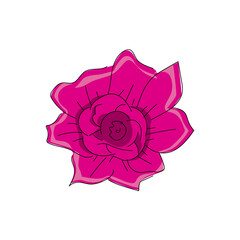 Illustration pink flower design isolated on white background