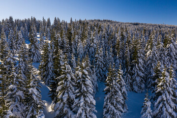 Passo coe Inverno trentino folgaria alpe cimbra con neve
