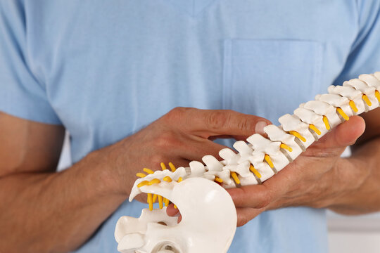 Doctor chiropractor explains causes of back pain using lumbar spine disk model. Back pain relief concept
