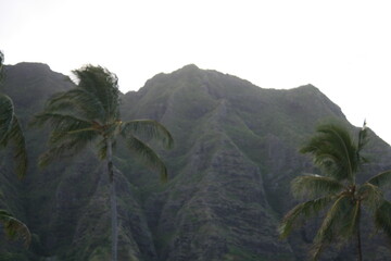 Fototapeta na wymiar Hawaiian Islands